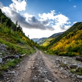 Lone mountain road