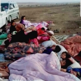 People Fleeing Kobanî during Turkish Invasion