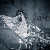 Chicken lay egg