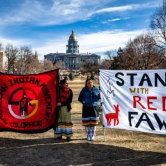 Red fawn 
