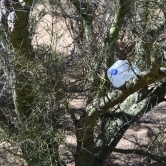 Cartel water aide