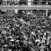 Human Rights Day March