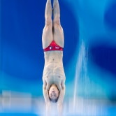 Diver Champion (Panning)