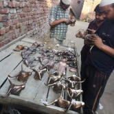 Taking your work out on to the streets